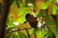 /album/fotogalereya-morskie-/cmtm4bdxgss-jpg/
